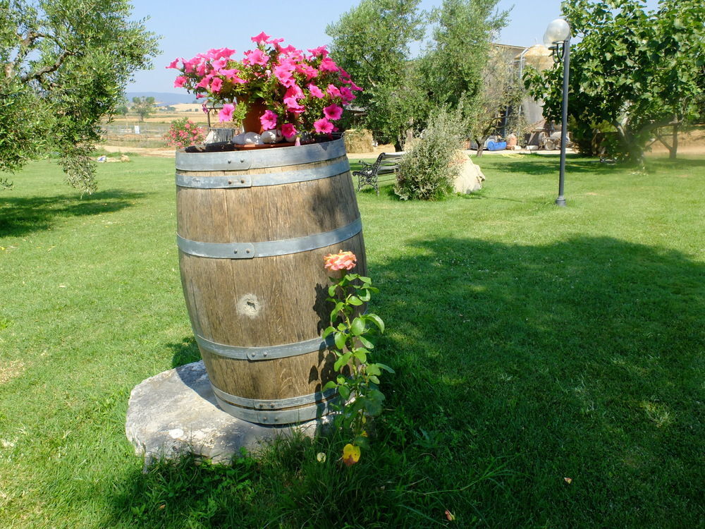 Agriturismo Al Girasole San Donato  Zewnętrze zdjęcie